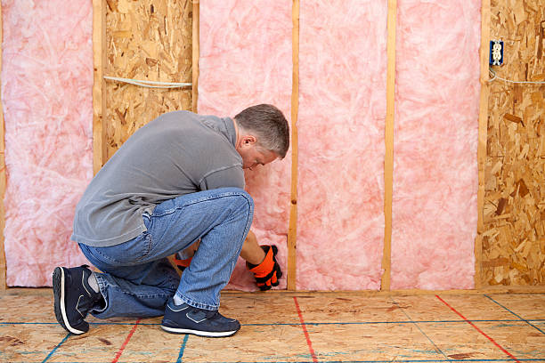 Best Radiant Barrier Insulation  in Burlington, WI